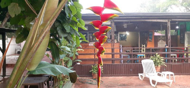 Residencial Noelia Hostel Puerto Iguazú Esterno foto